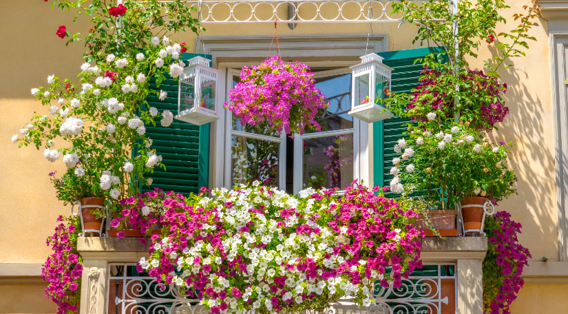 Suriçi'ne Açılan En Güzel Balkonu Seçiyoruz