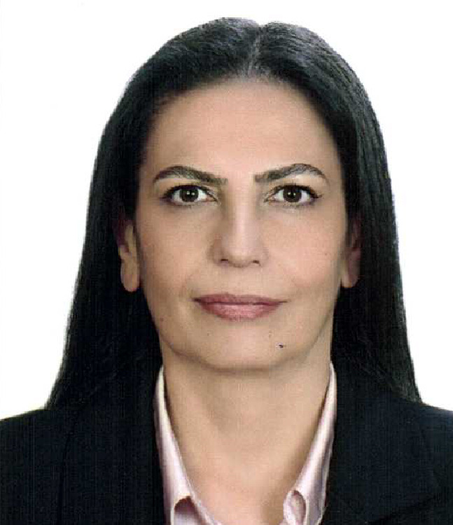 Hülya ÖZDEMİR