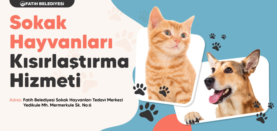 Sokak Hayvanları Tedavi Merkezi Online İşlemler