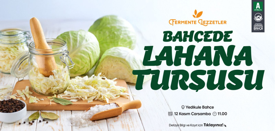 Bahçede Lahana Turşusu