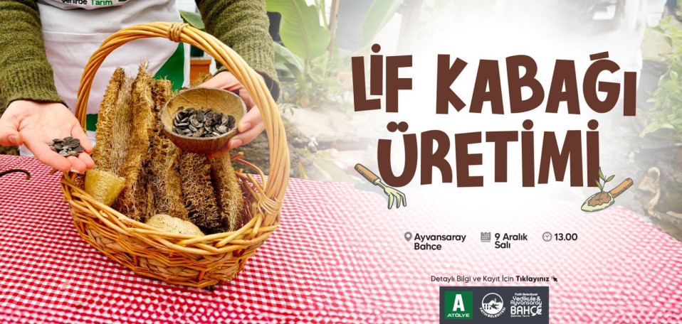 Lif Kabağı Üretimi