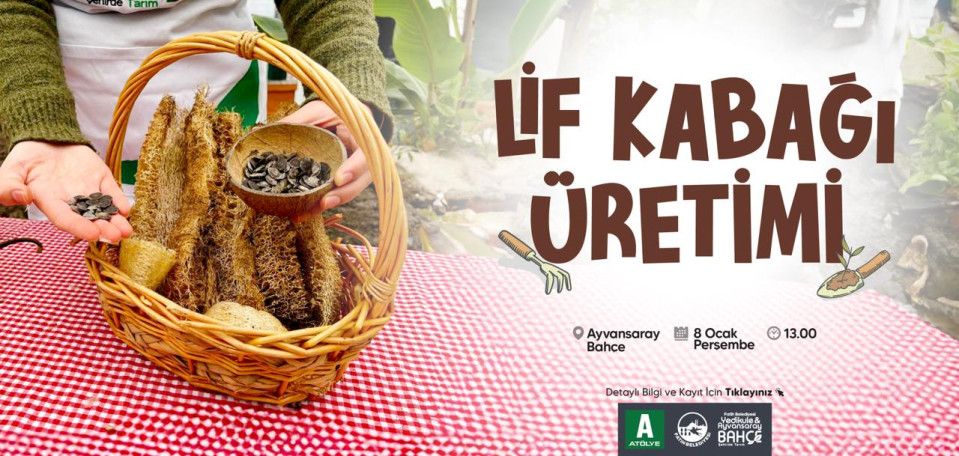 Lif Kabağı Üretimi