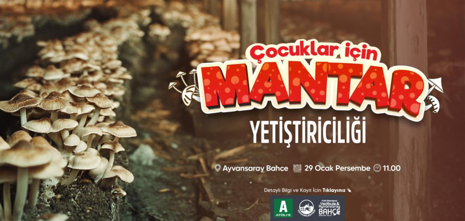 Mantar Yetiştiriciliği Atölyesi