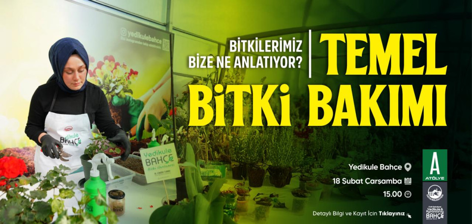 Bahçede Temel Bitki Bakımı 