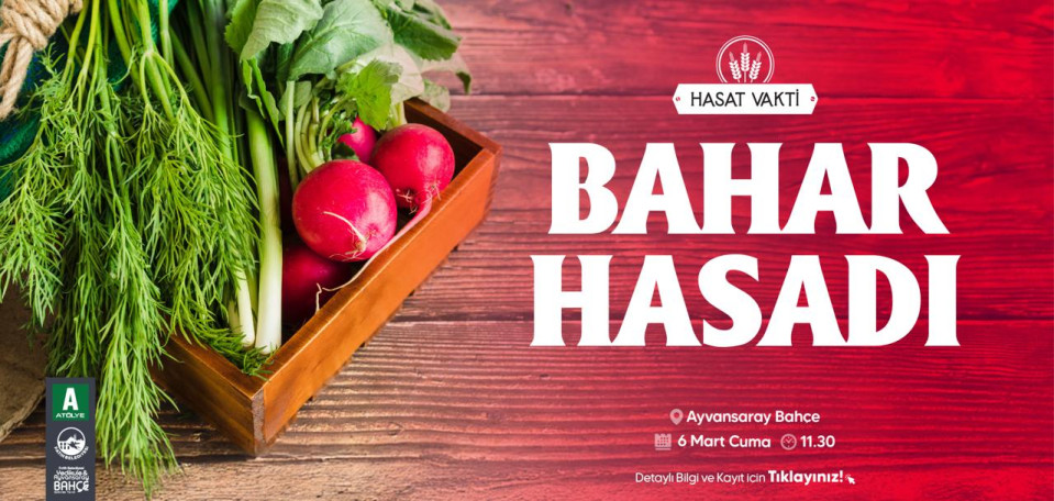 Bahar Hasadı Bahar Hasadı