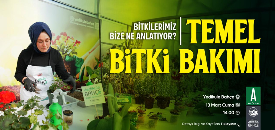 Temel Bitki Bakımı