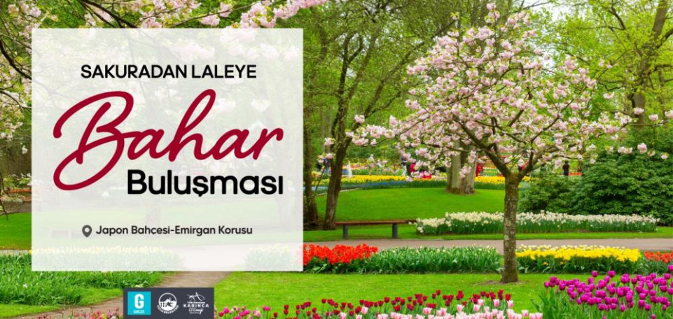 Sakuradan Laleye Bahar Buluşması