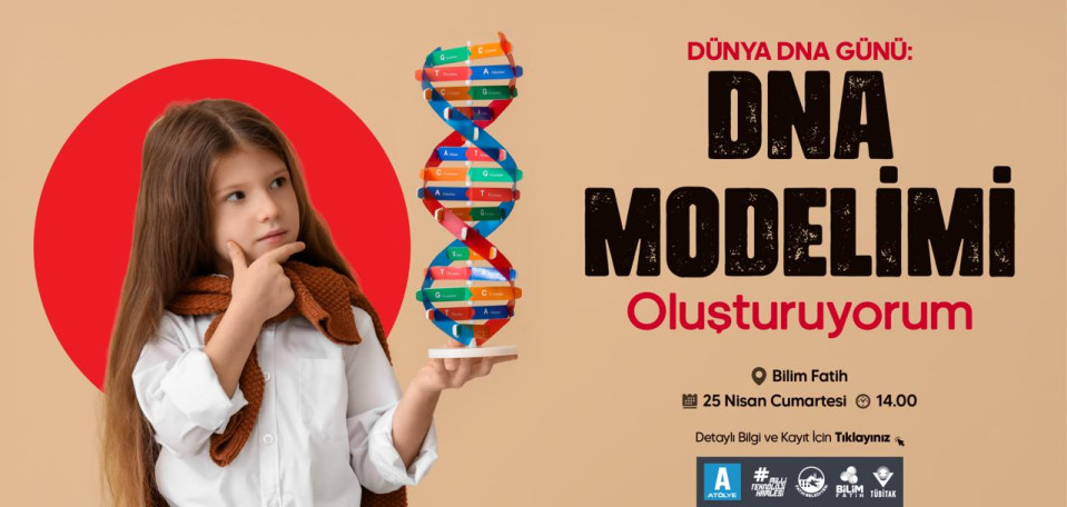 DNA Modelimi Oluşturuyorum