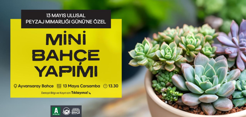 Mini Bahçe Yapımı