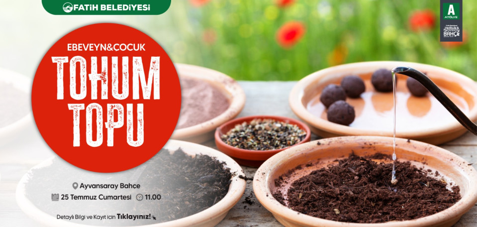 Ebeveyn-Çocuk Tohum Topu