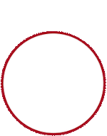 FABİM Başvuru Formu